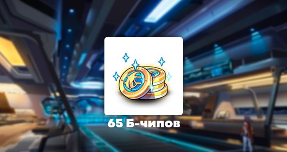 

65 Б-чипов